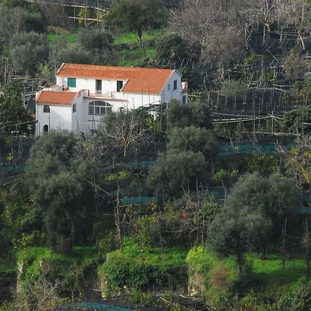 פיאנו די סורנטו Azienda Agricola Veniero מראה חיצוני תמונה
