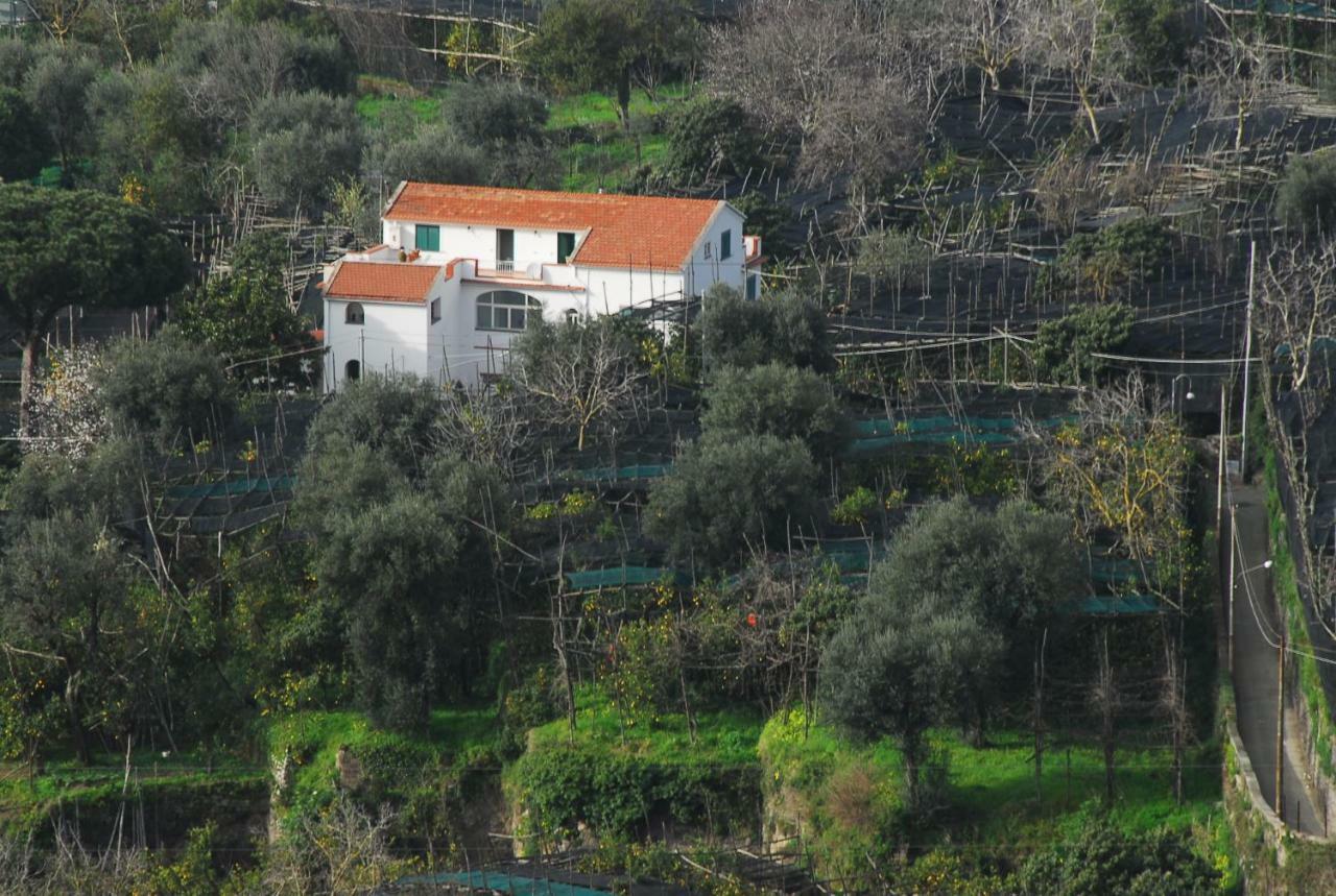 פיאנו די סורנטו Azienda Agricola Veniero מראה חיצוני תמונה